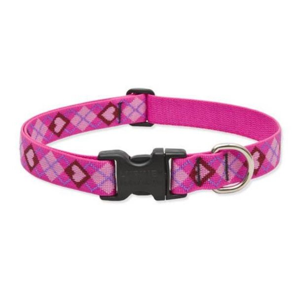 Lupine Pet Lupine 14253 1 in. Puppy Love 16 in. - 28 in. Adjustable Dog Collar 14253
